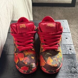 Wizard of Oz Nike SB Dunks - Never worn!